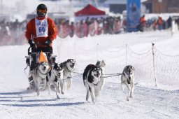 Lenk 2013